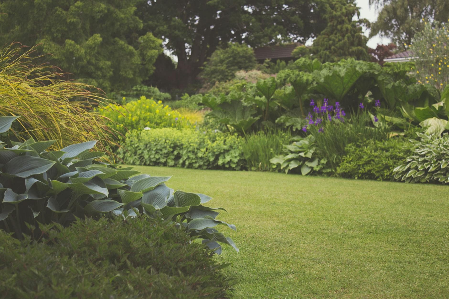 Beautifully landscaped backyard garden